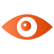 VISION Icon